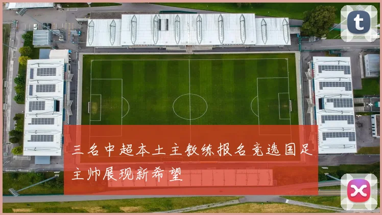 三名中超本土主教练报名竞选国足主帅展现新希望