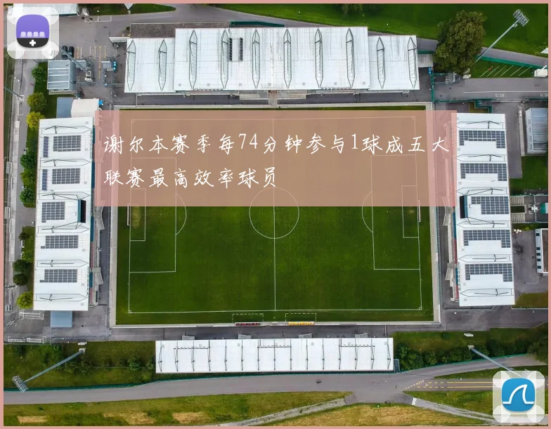 谢尔本赛季每74分钟参与1球成五大联赛最高效率球员